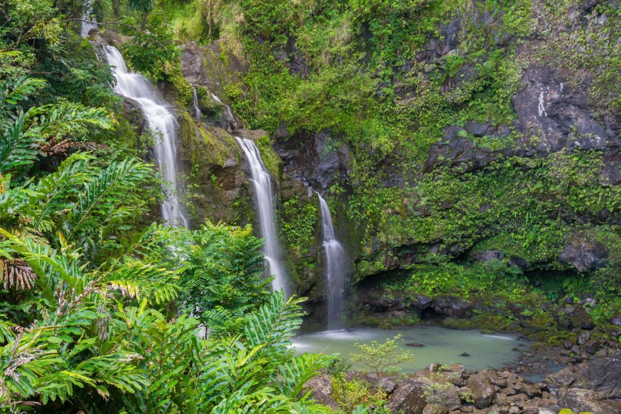 Kaleialoha 213 Villa Lahaina Dış mekan fotoğraf